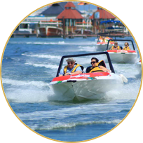 aventura jungle tour